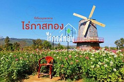 ไร่ภาสทอง