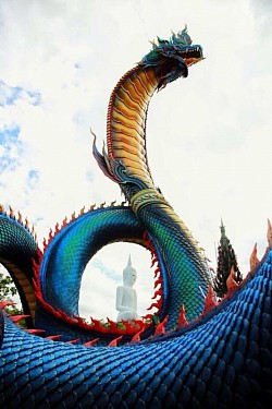 พญานาคภูมะโนรมย์