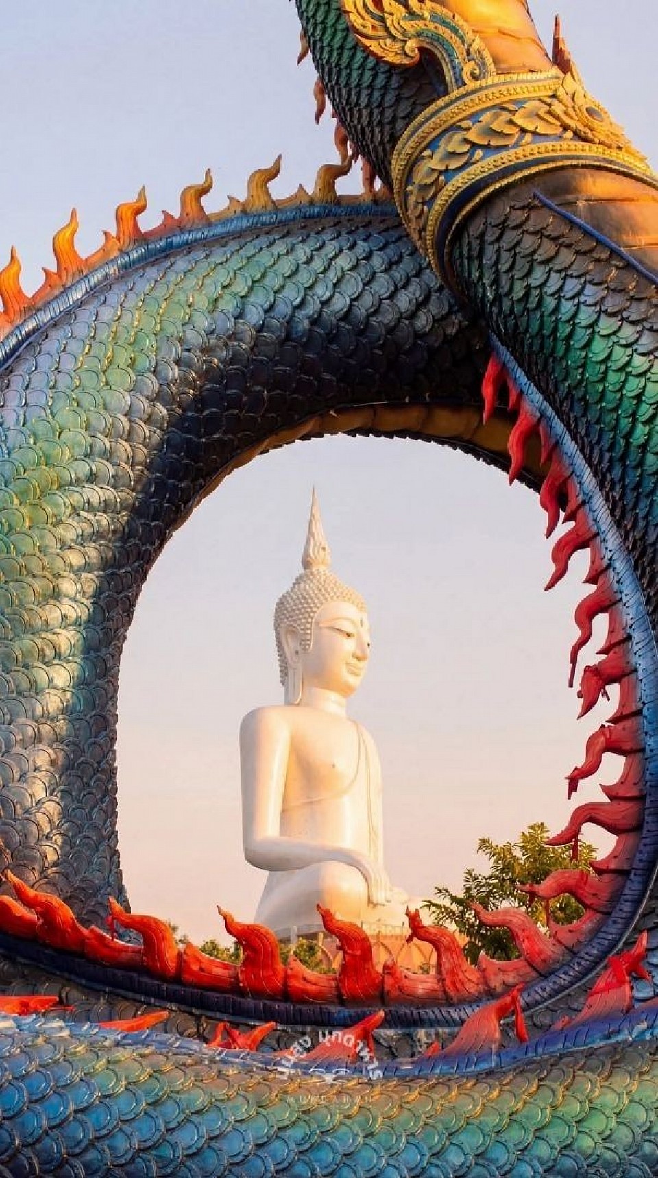 รถพื้นที่ใน จังหวัด มุกดาหาร