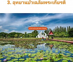 อุทยานบัว